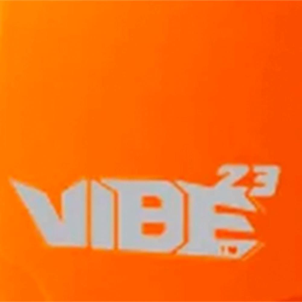 H70 VIBE Earmuffs – 23 NRR – Orange product photo